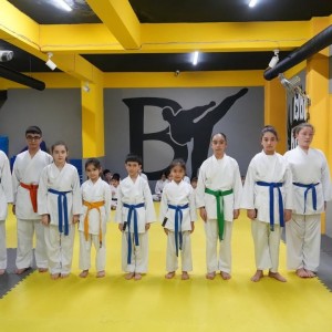 alt_1Bk Karate