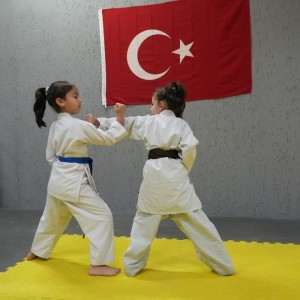 alt_1Bk Karate