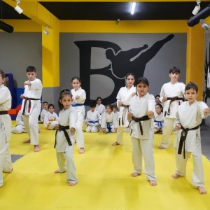 alt_1Bk Karate