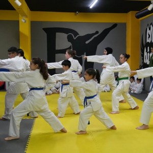 alt_1Bk Karate