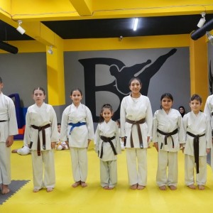alt_1Bk Karate