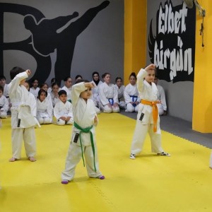 alt_1Bk Karate