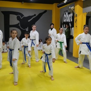alt_1Bk Karate